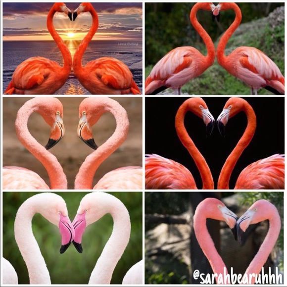 👈Please like NEW listing to continue playing! 💛 - Picture 6 of 8